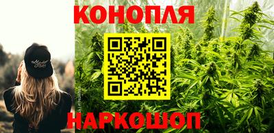 метадон Камышлов